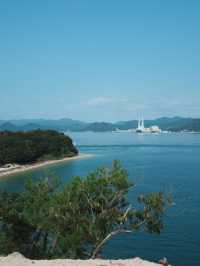 【広島観光】癒しのうさぎ天国！広島「大久野島」🐰🌿