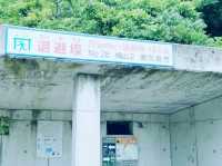 【鹿児島】フェリーに乗って活火山桜島へ！