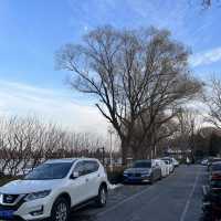 Gliding Through Winter: Ice Skating at Shi Cha Hai