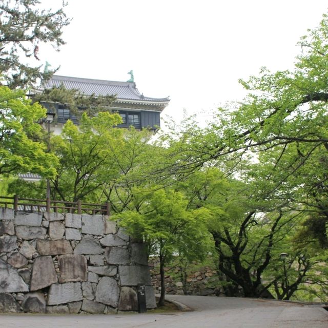 北九州景點｜北九州賞櫻勝地．續百大名城—小倉城