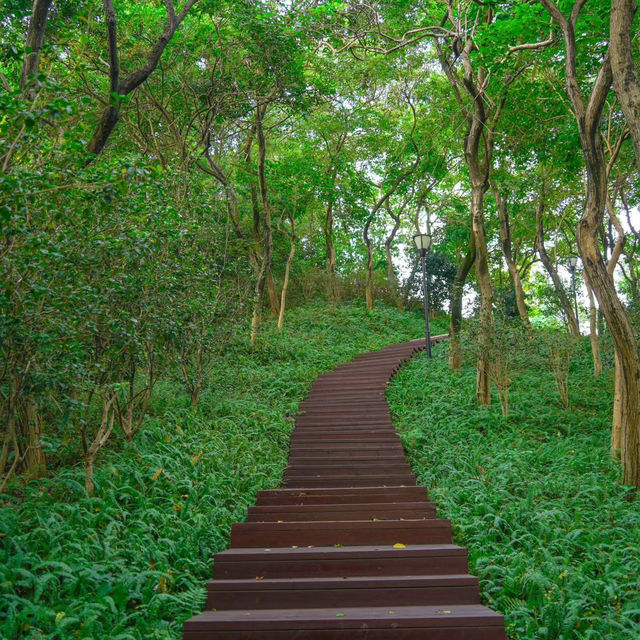 桂河碧道：綠油油的自然🌿🌊