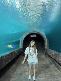 เที่ยวพิพิธภัณฑ์สัตว์น้ำ หนองคาย