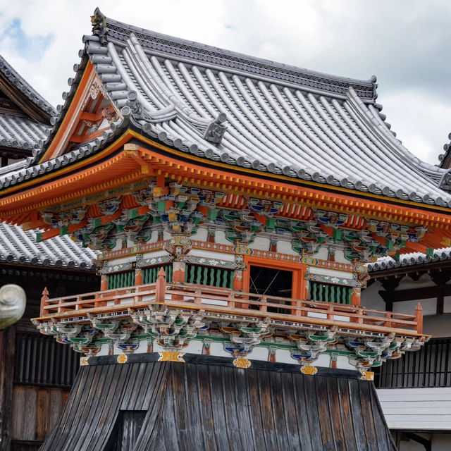 🐲開口神社🌲美麗平靜⛩️✨