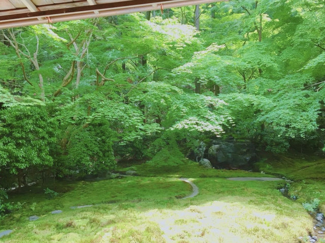 【京都】大自然を感じるパワースポット！瑠璃光院