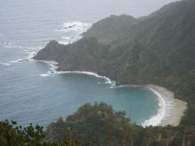 小笠原諸島｜日本のガラパゴス、世界遺産の島・父島