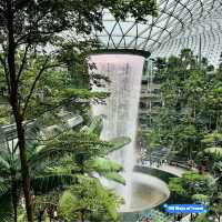 Exceptional Layover Experience: Singapore Changi Airport