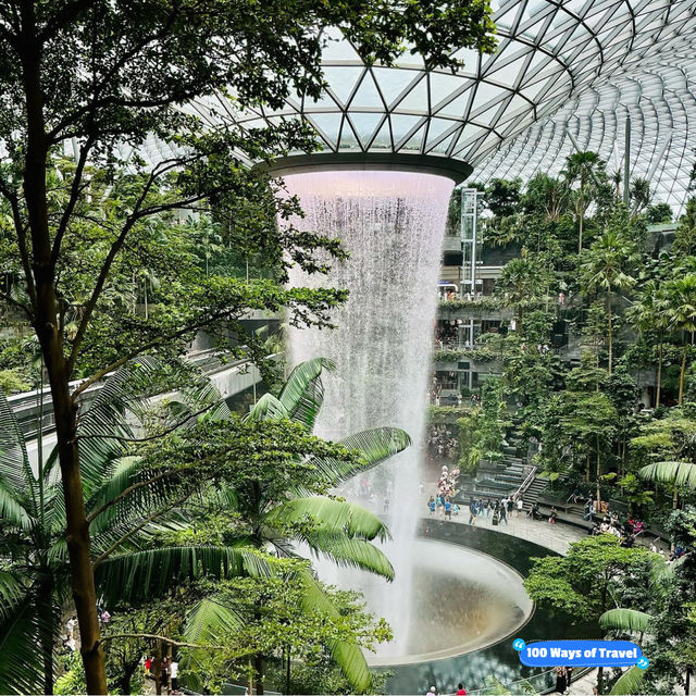 Exceptional Layover Experience: Singapore Changi Airport