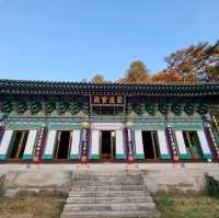 단풍구경도하고 보물가득한 수타사도 보러 홍천가자