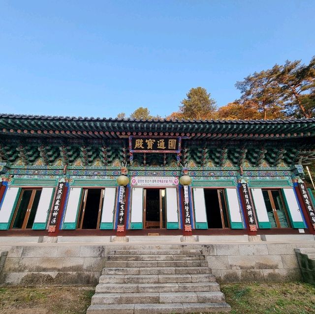단풍구경도하고 보물가득한 수타사도 보러 홍천가자