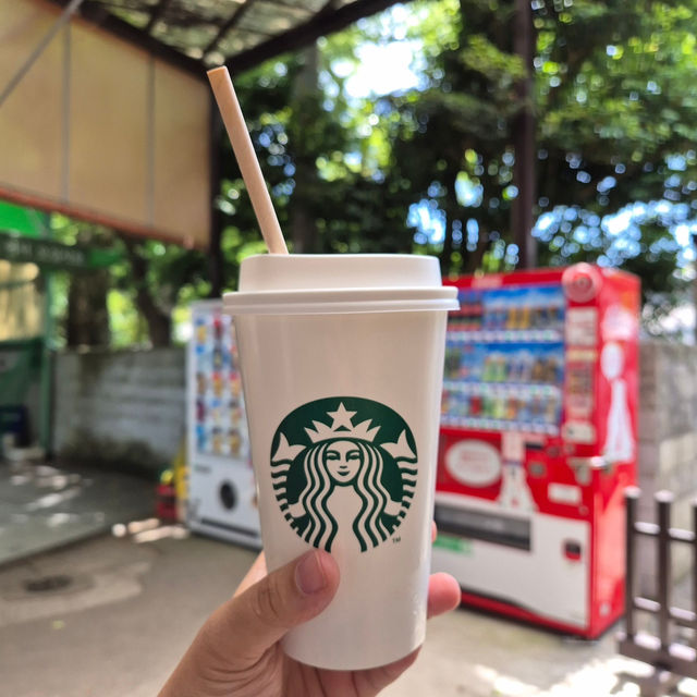 Daizaifu ⛩️ …เมืองฟุกุโอกะ ญี่ปุ่น ✨🇯🇵