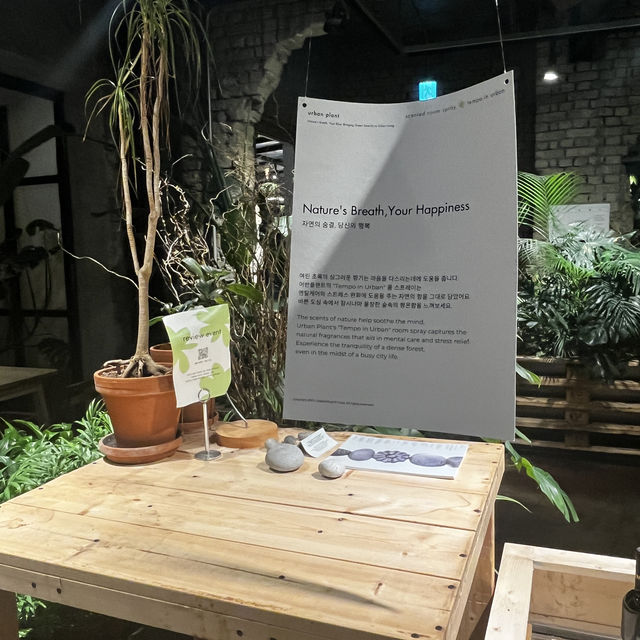 서울 속 자연을 그대로 옮긴 감성 카페 어반플랜트🌿