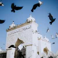 Dargah Hazratbal: Srinagar’s Sacred Sanctuary on Dal Lake 🕌✨