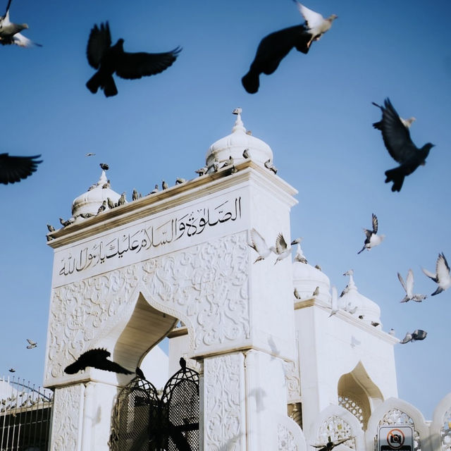 Dargah Hazratbal: Srinagar’s Sacred Sanctuary on Dal Lake 🕌✨