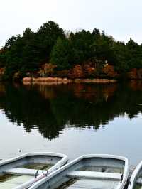 【日光】湖畔で眺める紅葉景色🍁