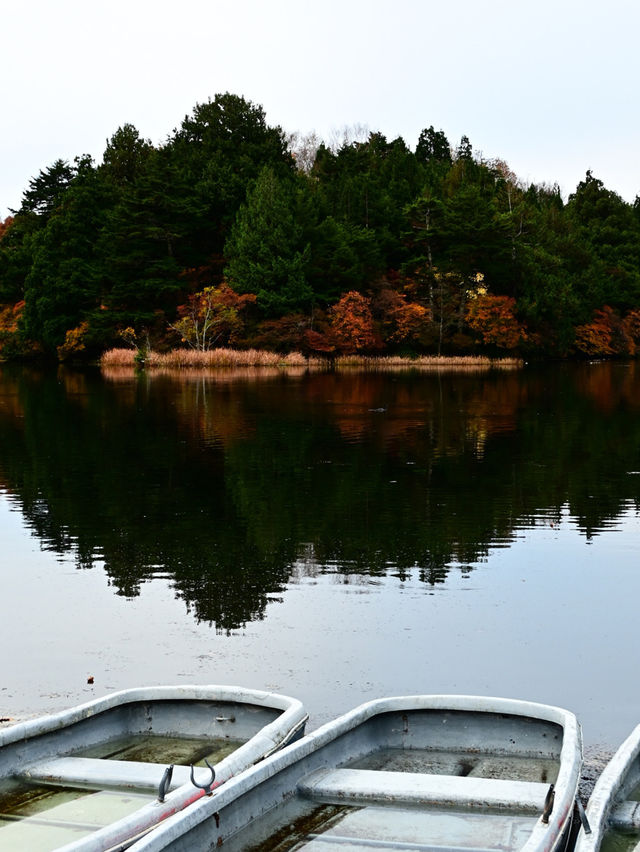 【日光】湖畔で眺める紅葉景色🍁