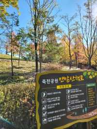 도심속 예쁘게 물든 거창 단풍숲공원