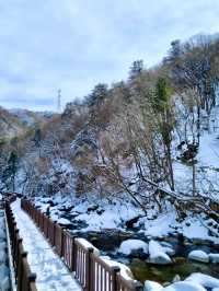 멋지고 고요한 분위기의 🩵얼음골 풍경을 경험할 수 있는 ❄️겨울여행지 추천 ❄️
