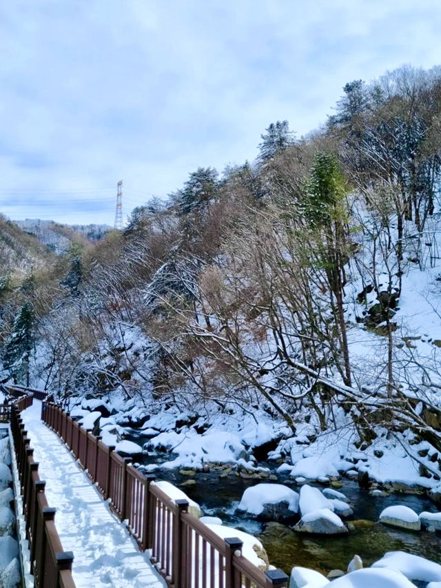 멋지고 고요한 분위기의 🩵얼음골 풍경을 경험할 수 있는 ❄️겨울여행지 추천 ❄️