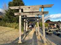 龍の神様？ジュピター神社