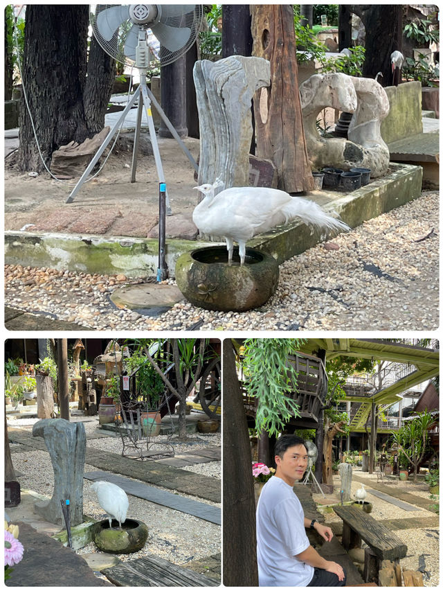 🌟「孔雀莊園四川火鍋：曼谷中國風美食探險」🦚🍜✨