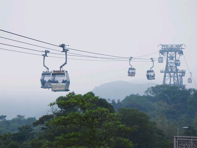 Ngong Ping Big Buddha ไหว้พระใหญ่ ฮ่องกง