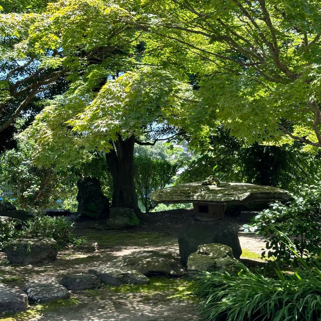 ～ 法善寺橫丁～漫步江戶風情的歷史街道～