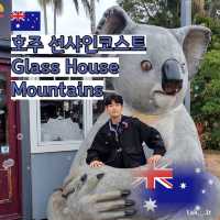 호주 선샤인코스트 Glass House Mountains🇦🇺