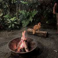 Glamping at La Hilir