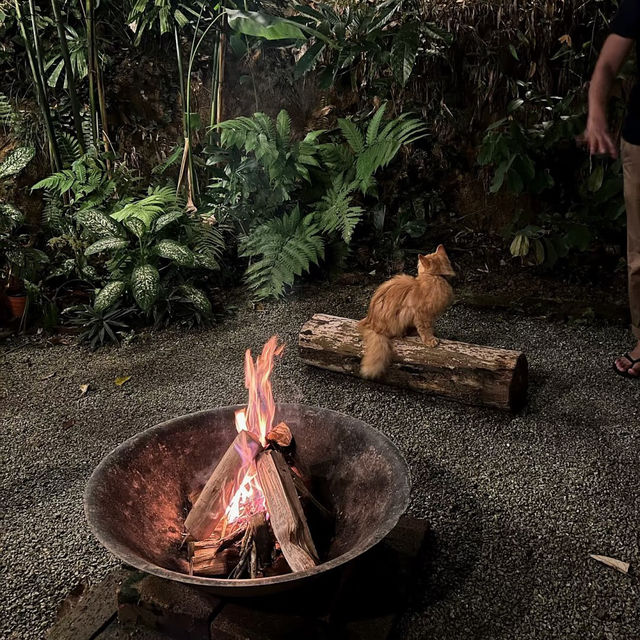 Glamping at La Hilir