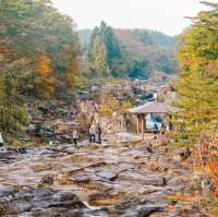 ล่องเรือชมหุบเขา ฟังเพลงพื้นบ้านโบราณ 🍂