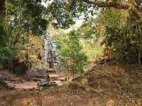 Ancient city of Angkor