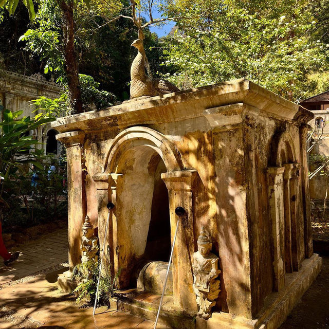 Explore the Tranquility of Wat Pha Lat