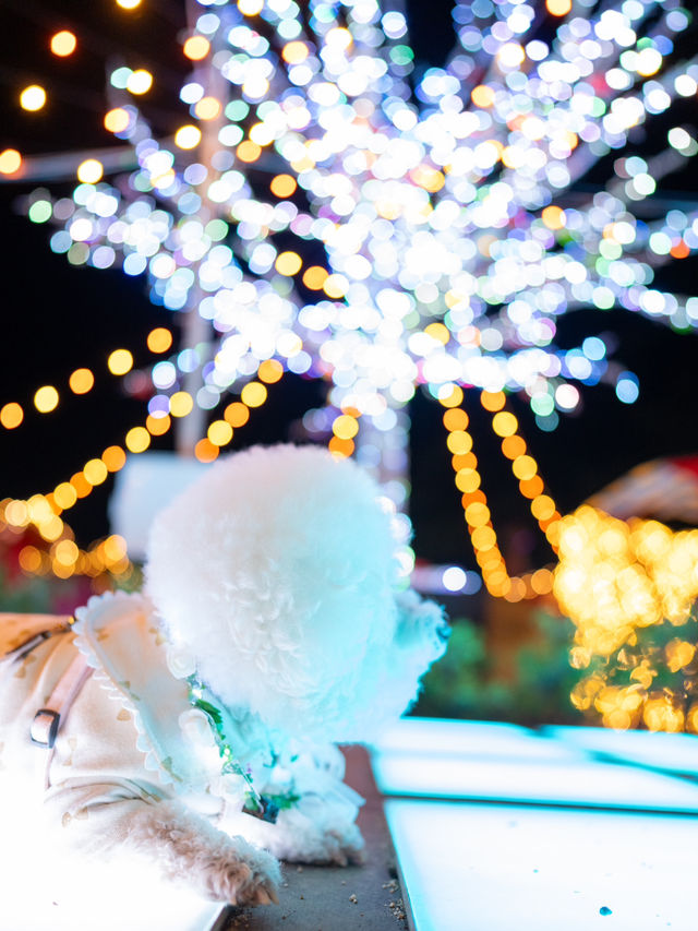 え？ほんと？ペットも連れて行けるイルミネーションが凄すぎた！本物のクリスマスに逢える場所🎅♥️🎄