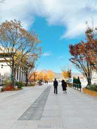 【韓国/ソウル】秋のソウル🍂光化門お散歩と🉐情報も！