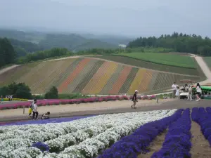 Popura Farm Cafe