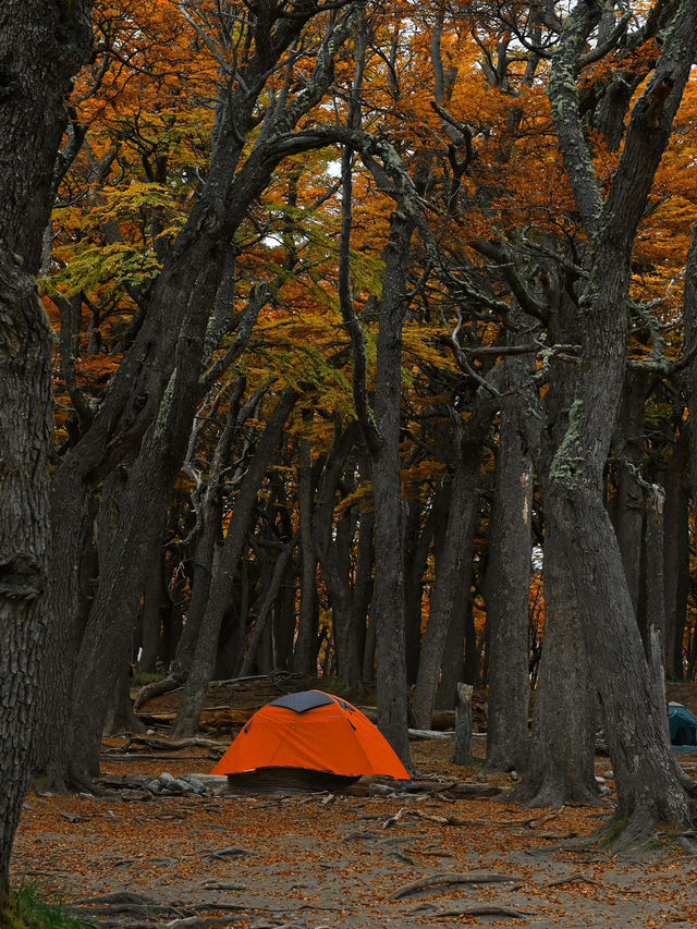 วิวระหว่างทาง Patagonia 