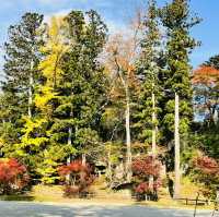 Top 3 views of Japan at Matsushima! 