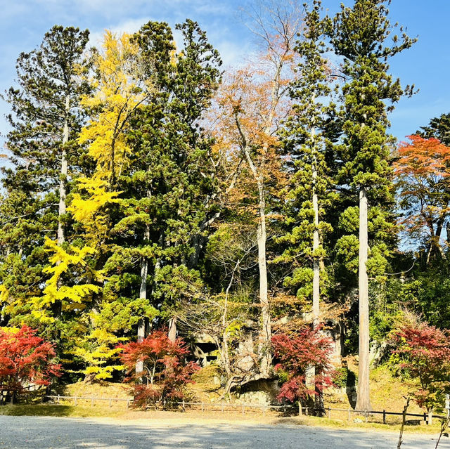 Top 3 views of Japan at Matsushima! 