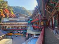 Fall season at the biggest temple in Korea, Guinsa Temple