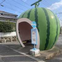 フルーツバス停通り🍓🍊🍉🍈