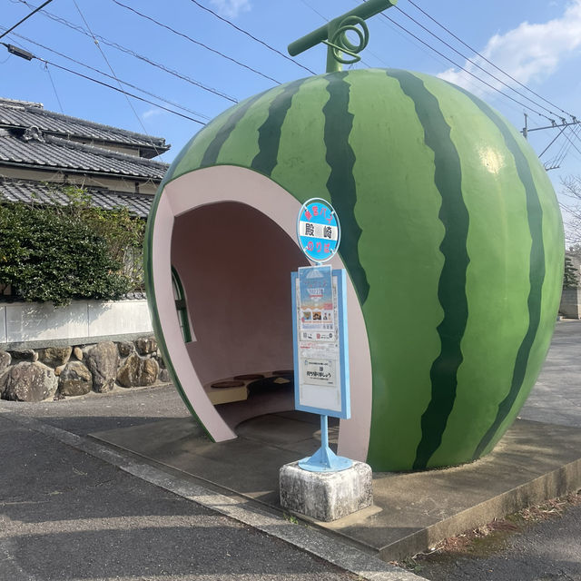 フルーツバス停通り🍓🍊🍉🍈