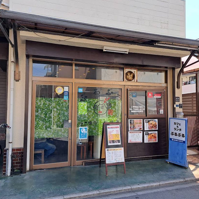 【日本・大阪🇯🇵】小鉢が食べ放題！コスパ最強レストラン