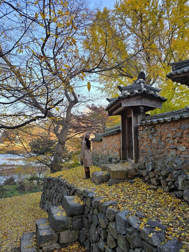 밀양에서 보낸 아름다운 가을의 마무리💛