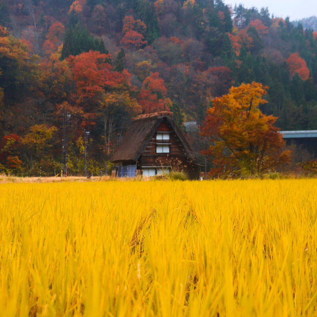 Shirakawa-go