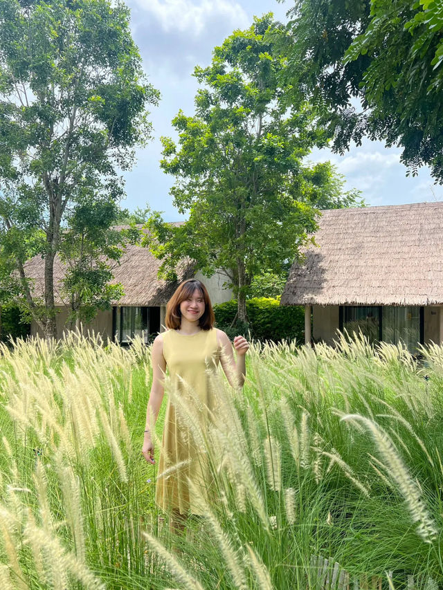 🪿The Life Garden Farmstay 🌿 ที่พักน่ารัก 