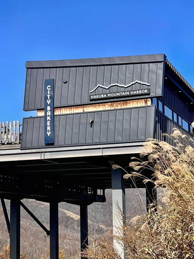 【【長野白馬村】CITYBAKERY白馬マウンテンハーバー✨