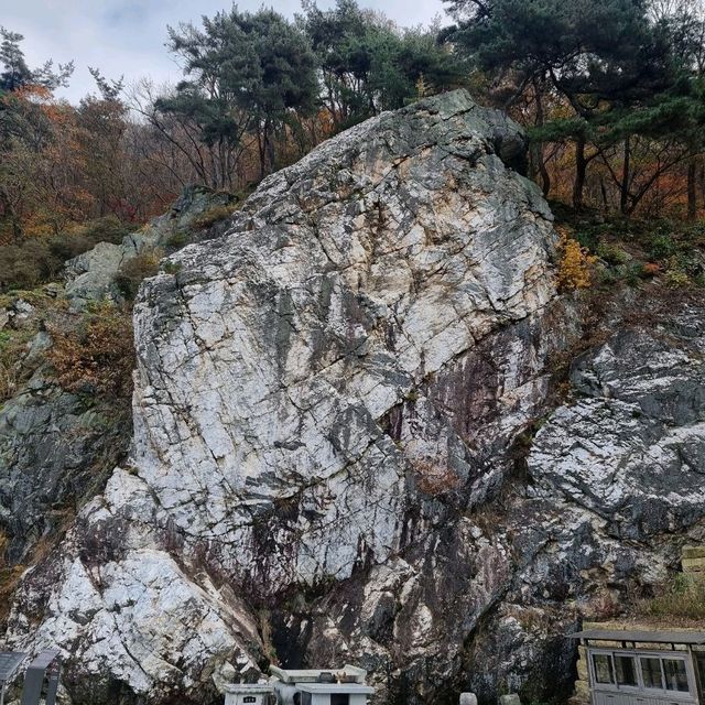미암사 쌀바위와 세계최대 와불