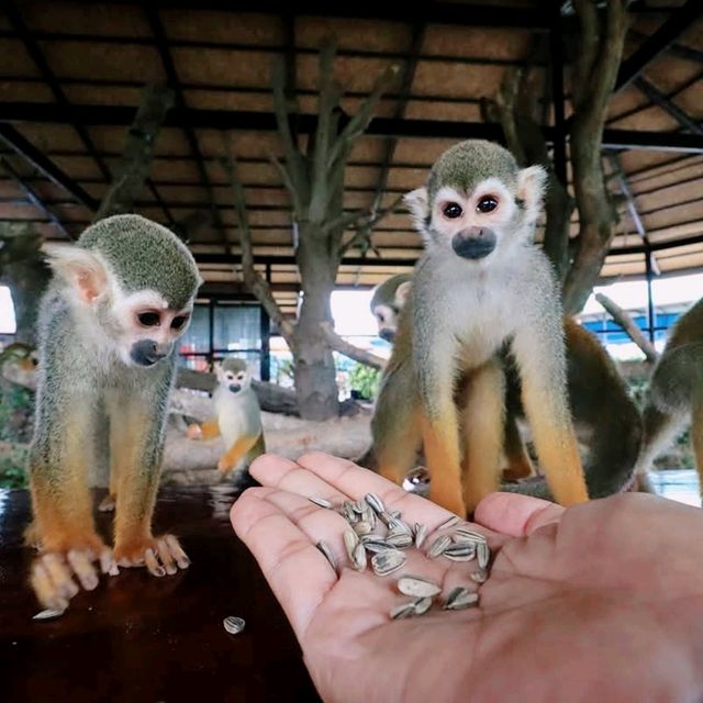 大城府第一座野生動物園