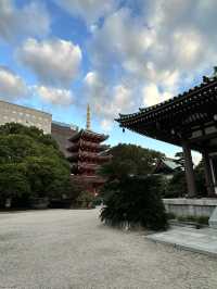 木造坐像で日本一大きい福岡大仏	