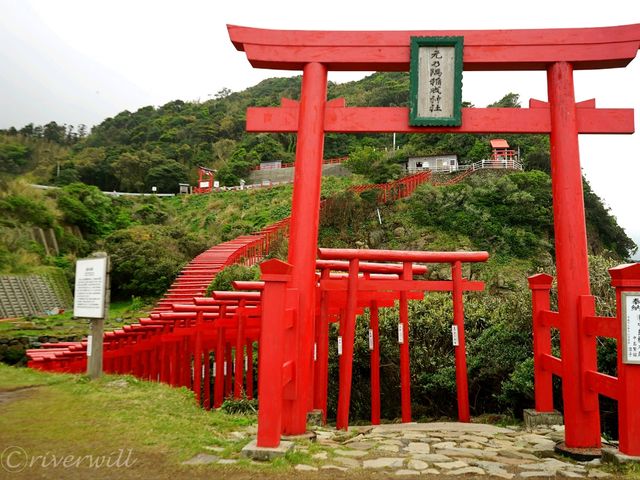 【山口県】世界が認めた絶景！123基の鳥居が並ぶ「元乃隅神社」